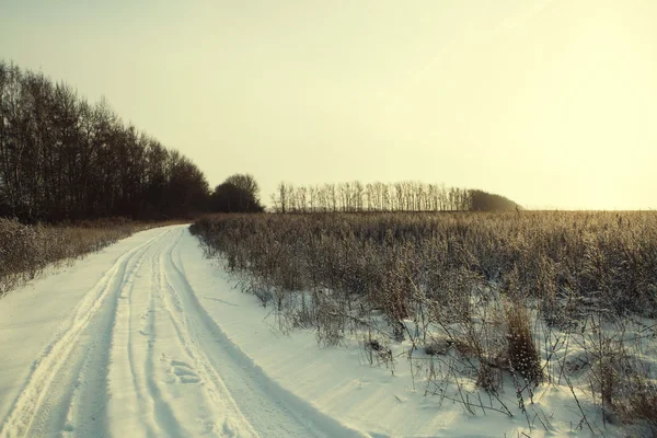 Winter road forest field landscape — Stock Photo, Image
