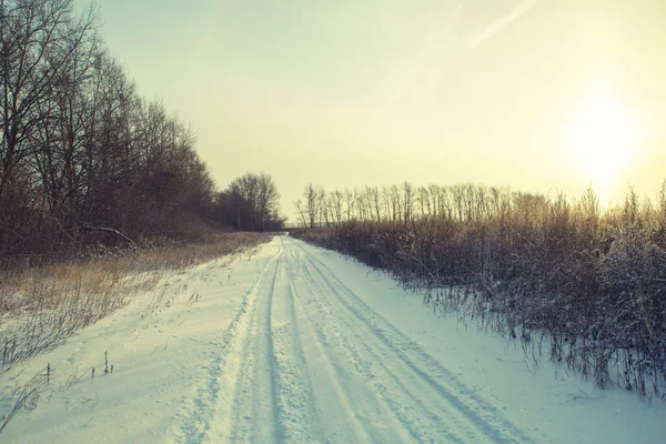 Χειμώνας δάσος δρόμο πεδίο τοπίο — Φωτογραφία Αρχείου