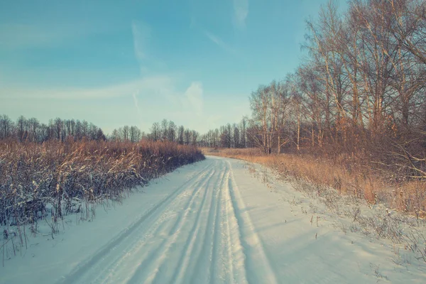 Winter Straße Wald Feld Landschaft — Stockfoto