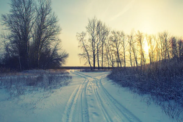 Vinterlandskap road skog fält — Stockfoto