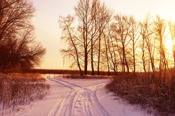 Winter road forest field landscape — Stock Photo, Image