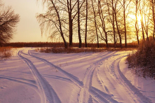 Vinterlandskap road skog fält — Stockfoto