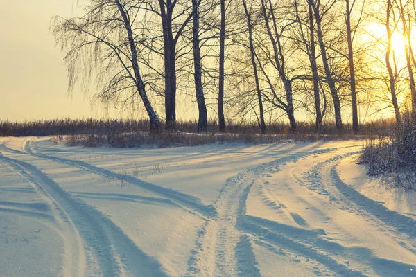 Vinterlandskap road skog fält — Stockfoto