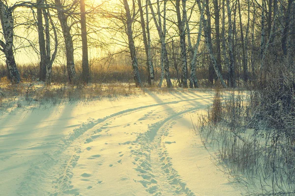 Winter road forest field landscape — Stock Photo, Image