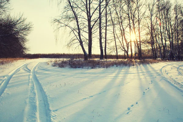 Winter weg boslandschap veld — Stockfoto