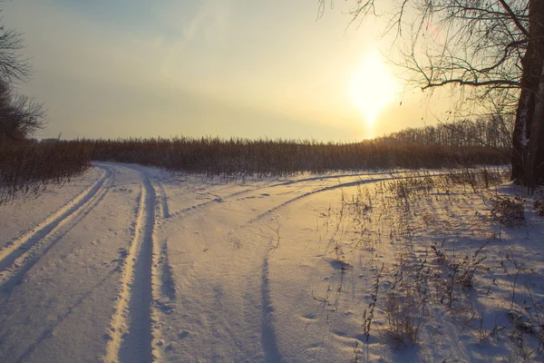 Winter road forest field landscape — Stock Photo, Image