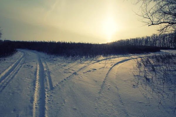 Winter road forest field landscape — Stock Photo, Image