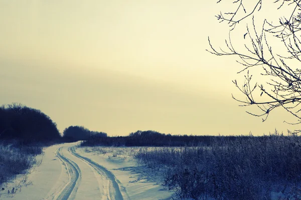 Camino de invierno bosque campo paisaje —  Fotos de Stock