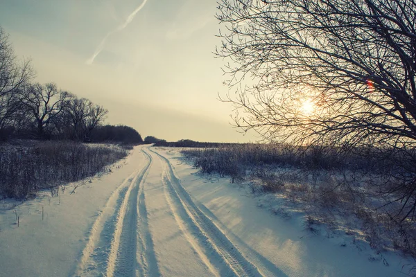 Winter road forest field landscape — Stock Photo, Image