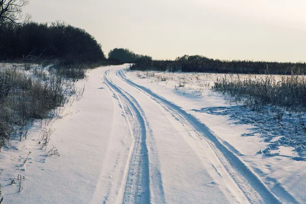 Vinterlandskap road skog fält — Stockfoto