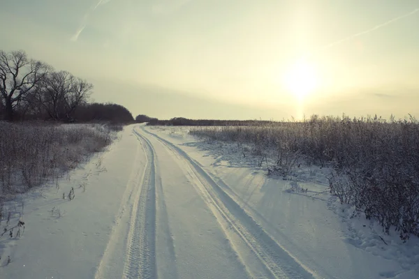 Straße durch den Winterwald — Stockfoto