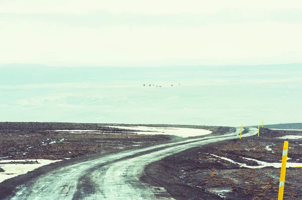 Iceland road landscape with clouds and amply field — Stock Photo, Image