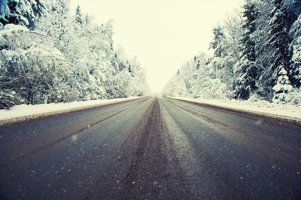 道路が冬の森 — ストック写真