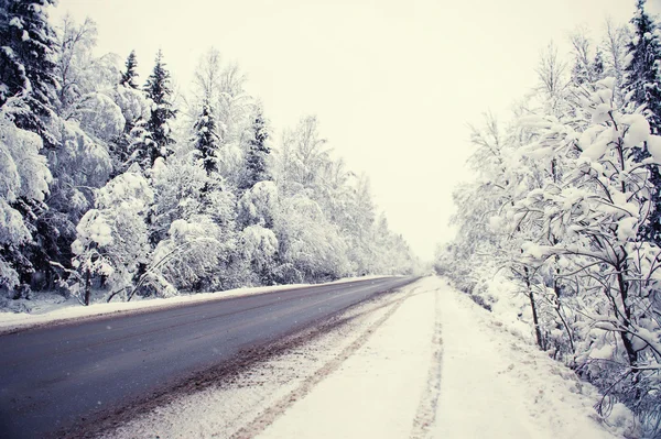 Road throught winter forest — Stock Photo, Image