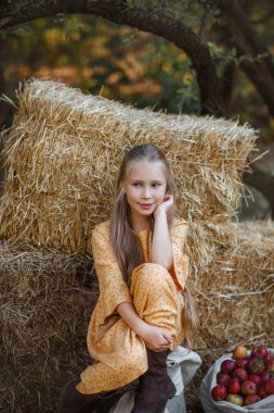 Güzel küçük kız samanların yanında oturuyor, içi taze kırmızı elmalarla dolu bir tahta kutuyla.