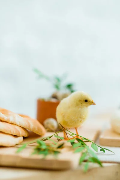 Smaklig Liten Kyckling Bordet Med Påskdekor Bröd Ost Och Grönska Royaltyfria Stockbilder