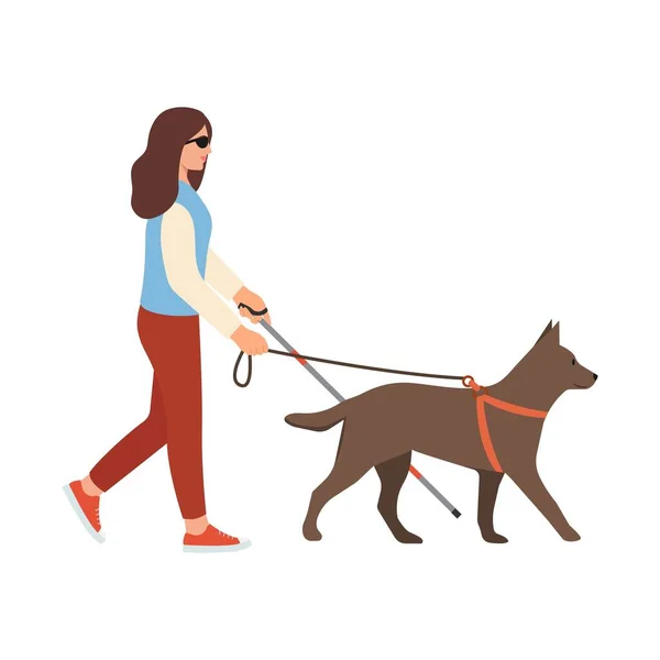 Blind Woman Cane Guide Dog Disabled Female Blindness Walking Seeing — Stock Vector