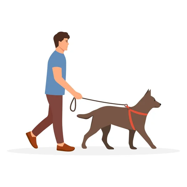 Man Walking Dog Pet Owner Strolling Big Dog Leash Vector — Stock Vector