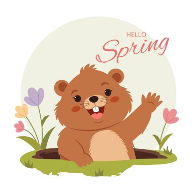 Sevimli, neşeli dağ sıçanı delikten dışarı bakıyor.