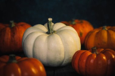 Beyaz ve turuncu balkabakları koyu bir arkaplanda uzanır.