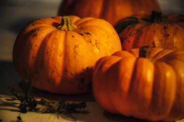 Turuncu balkabakları açık ahşap bir yüzeyde yatar.