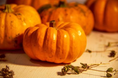 Turuncu balkabakları açık ahşap bir yüzeyde yatar.