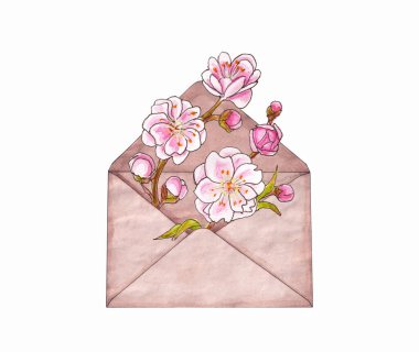 Beyaz bir arkaplanda izole edilmiş kağıt bir zarfın içindeki çiçek açan erik filizinin suluboya çizimi