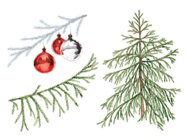 Beyaz arkaplanda kırmızı ve ayna topları olan ladin ve köknar dallarının suluboya çizimi