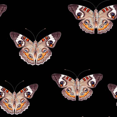 Sulu boya çizimlerinin kusursuz deseni, siyah bir arka planda izole edilmiş kahverengi, sarı ve okher renklerde balık ağı kelebekleri.