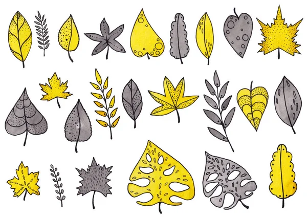 Ensemble Illustrations Aquarelles Feuilles Jaunes Grises Isolées Sur Fond Blanc — Photo