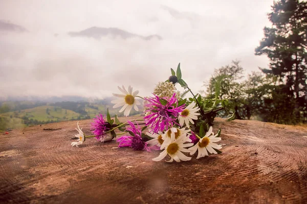 Bouquet Pink Wildflowers Daisies Lies Stump Background Mountains Clouds — Stock Photo, Image