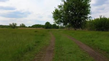 Hava aracı yeşil yaz tarlaları ve ağaçlar boyunca kırsal toprak yol boyunca ilerler. Yumuşak kamera hareketli huzurlu kırsal alan bulutlu gökyüzü altında doğal çayır manzarası.
