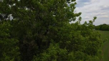 İnsansız hava aracı, bulutlu gökyüzü altında yavaşça yeşil ağaç tepe örtüsünün üzerine yükseliyor, nehri, çayır manzarasını ve geniş kırsal manzarayı gözler önüne seriyor.