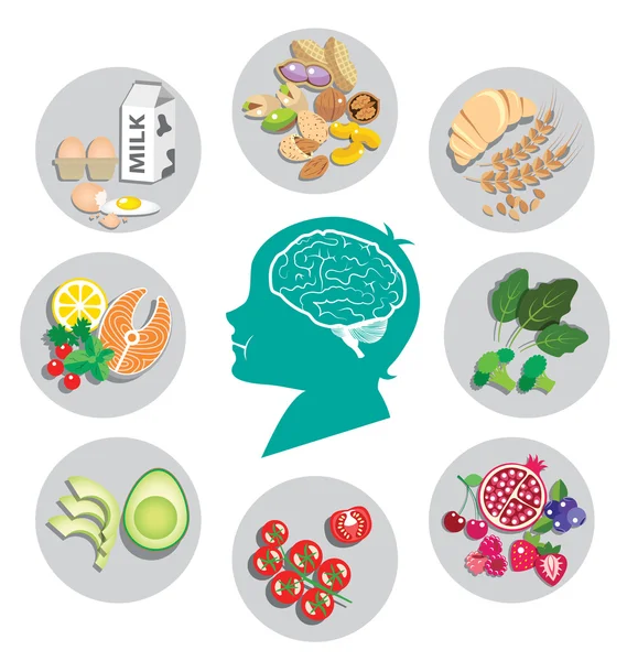 Cele mai bune alimente pentru sănătatea și energia creierului — Vector de stoc