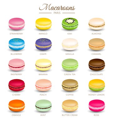 Colorful macaroons flavors vector clipart