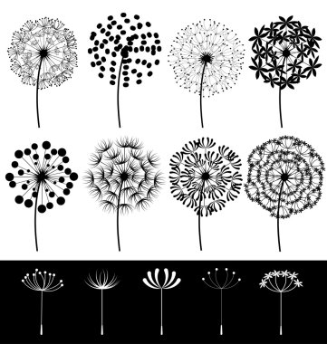 Dandelions vektör ayarla