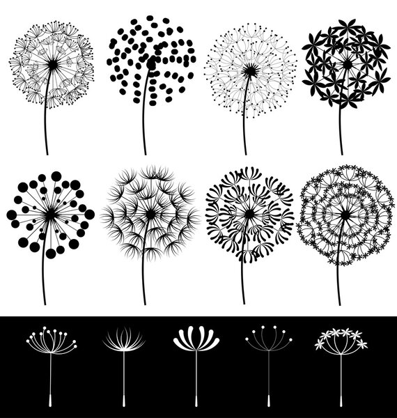 Dandelions set vector