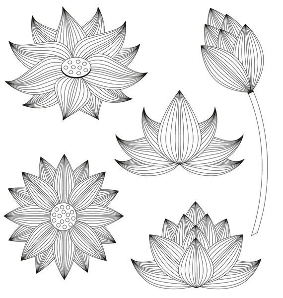 Kwiat lotosu wektor zestaw na białym tle — Wektor stockowy