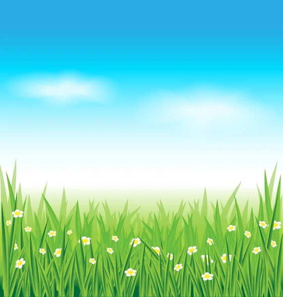 Green grass and blue sky background — Stock Vector