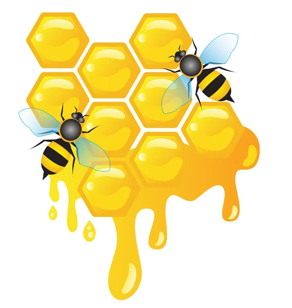 Abelhas operárias em células de mel com mel pingando — Vetor de Stock