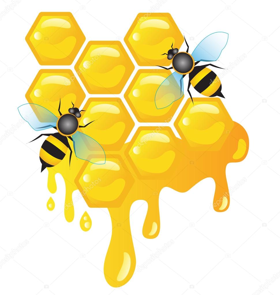 Worker bees on honey cells with honey dripping