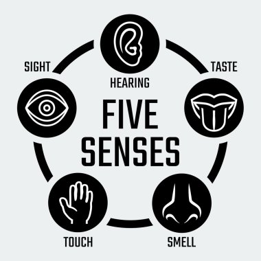 Five senses icons set clipart