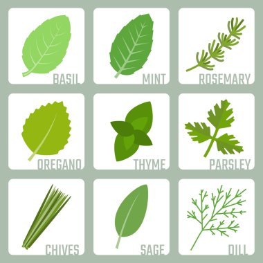 İzole otlar Icons set