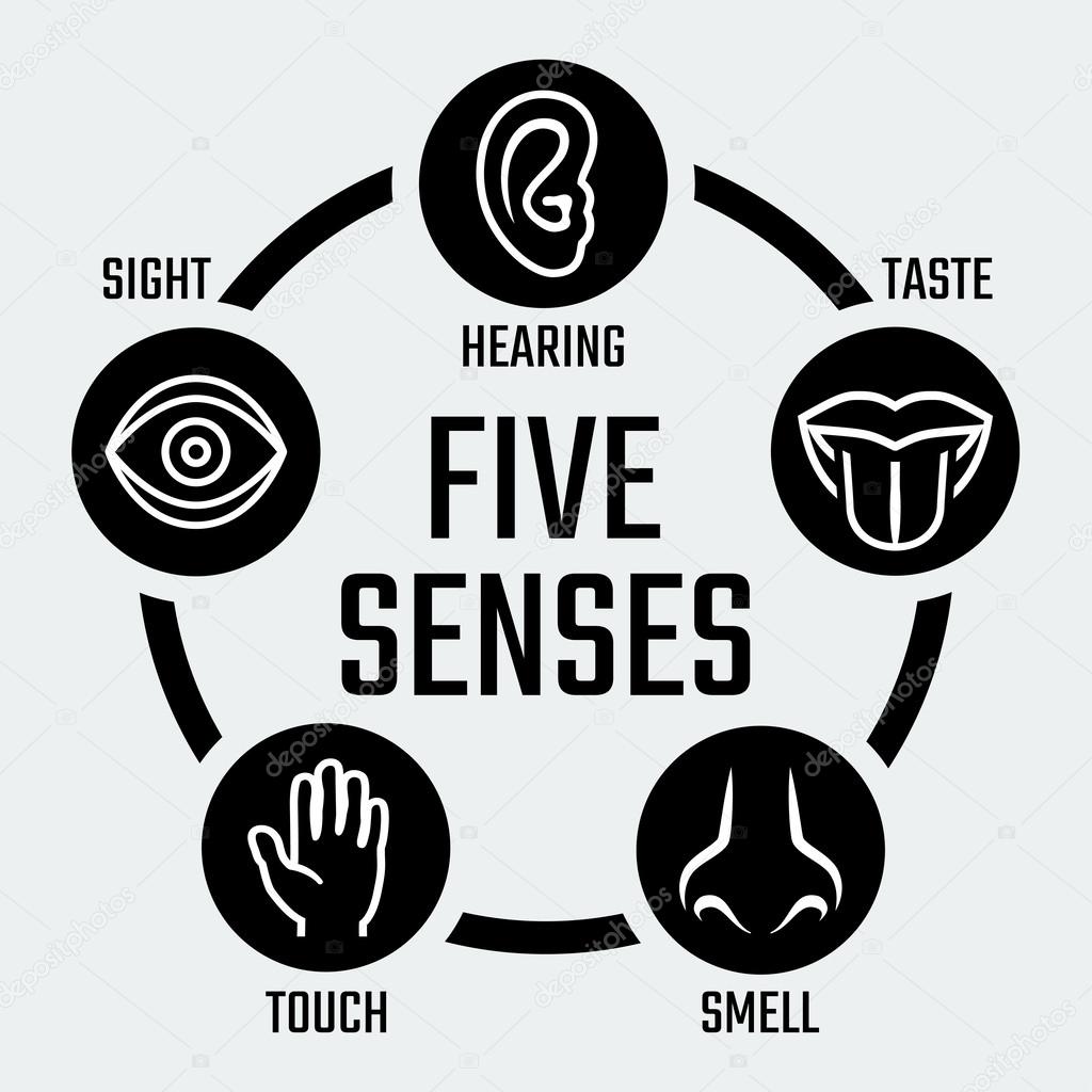 Five senses icons set