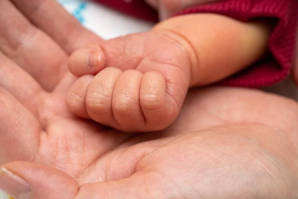 Рука новорожденного ребенка кладется в ладонь матери — стоковое фото