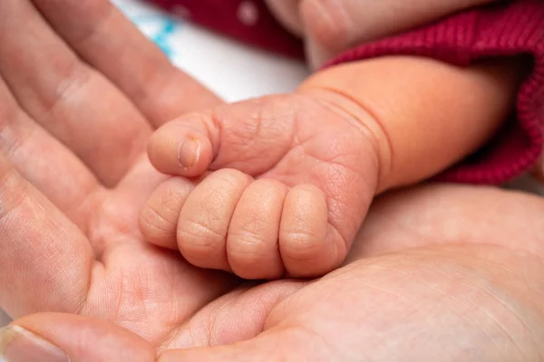 Рука новорожденного ребенка кладется в ладонь матери — стоковое фото