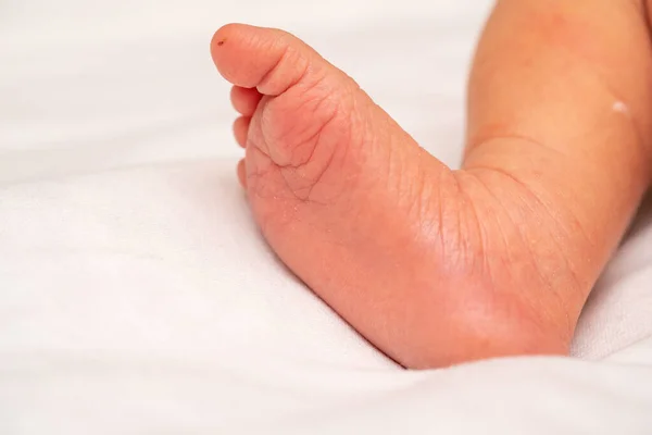 Bare little feet of newborn baby closeup, white background — Stock Photo, Image