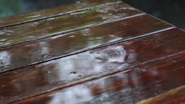 Regn droppe på trä bord eller golv — Stockvideo