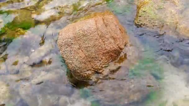 Kő a tengeri hullámok a spanyol Costa Brava partján — Stock videók