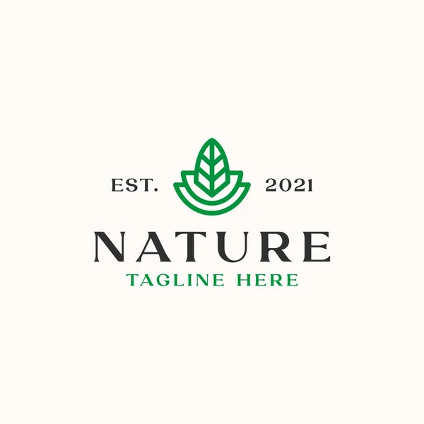 Leaf Monoline Logo Template Isolated White Background — ストックベクタ